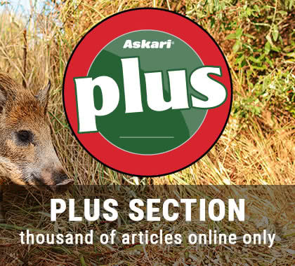 Askari Plus Section! Thousands of articles online only!