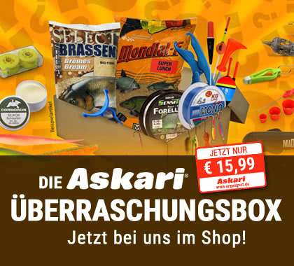 Überraschungsbox günstig kaufen bei Askari