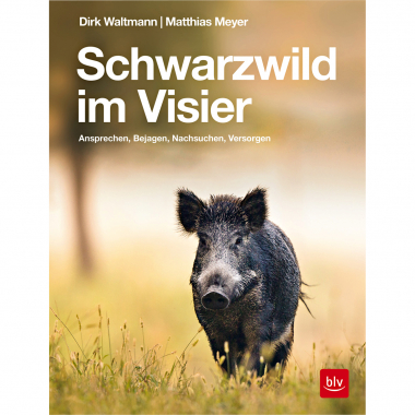 Buch: Schwarzwild im Visier von Dirk Waltmann, Matthias Meyer