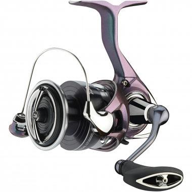 Daiwa 24 Regal LT