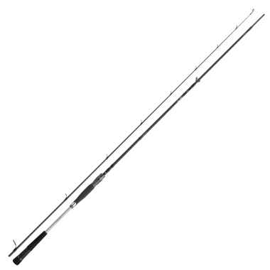 Daiwa Meerforellenrute Morethan AGS Seatrout 