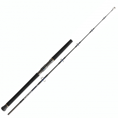 Daiwa Saltiga Jigging