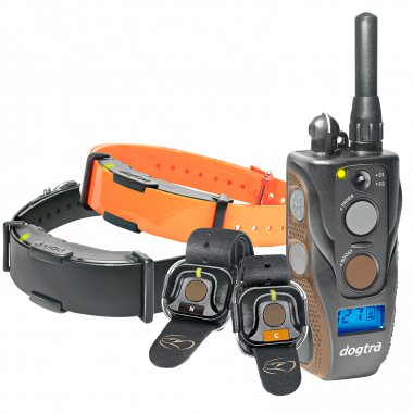 Dogtra ARC 802 Free Plus