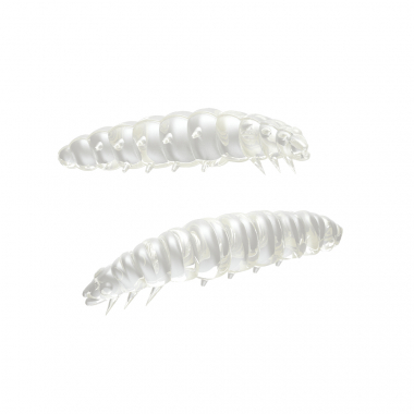 Libra Lures Larva Kunstköder (silver pearl)