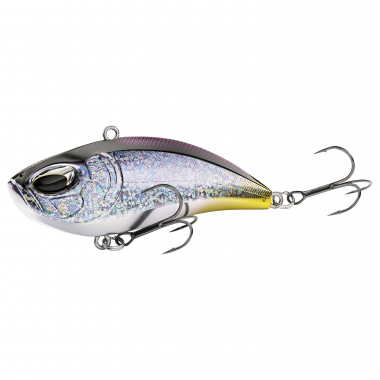 Nays LPR Noisy (S-06)