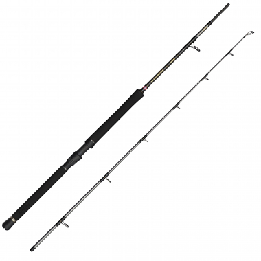 Penn Regiment 4 Boat Rod