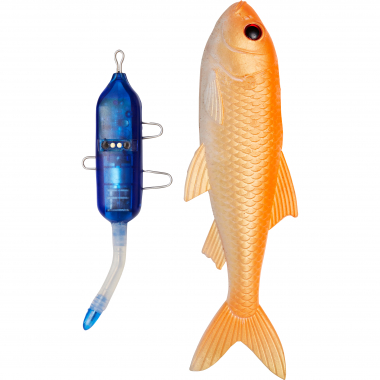 Pulz Bait Roach Kit (Gold Fish)