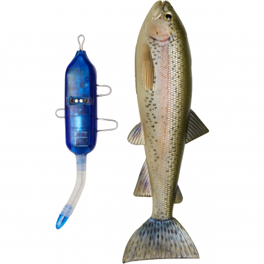 Pulz Bait Trout Kit (Rainbow Trout)