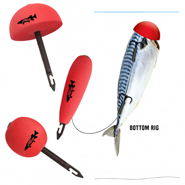 Quantum Bait Pop Up Kit