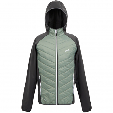 Regatta Mountain III Wanderhose Herren (Agave Green/Ash)