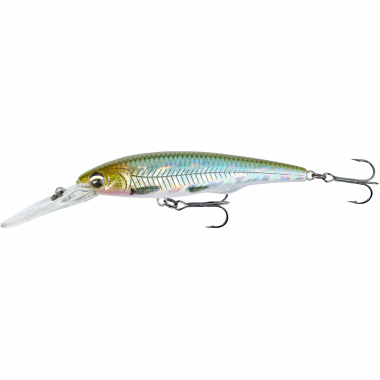 Savage Gear Gravity Twitch DR (Hot Matt Roach) 