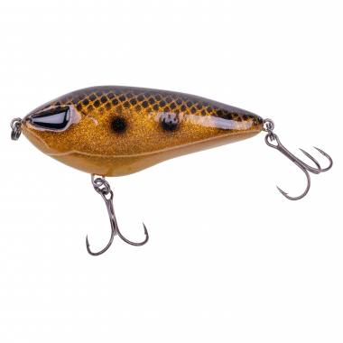 Zeck Rogue Glider (Spotted Bullhead) 