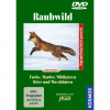 DVD Raubwild - Fuchs/Marder/Wildkatzen/Otter/Waschbären von "Kosmos"