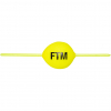 FTM Steckpiloten, gelb