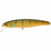 Illex Arnaud 110 F (Aggressive Perch) schwimmend