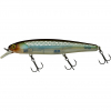 Illex Arnaud 110 F (HS Ghost Minnow) schwimmend