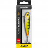 Lieblingsköder Topwater Pencil (Charly) 