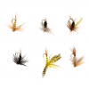 Perca Original Fly Trockenfliegen Sortiment 