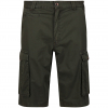Regatta Shorts Shorebay 