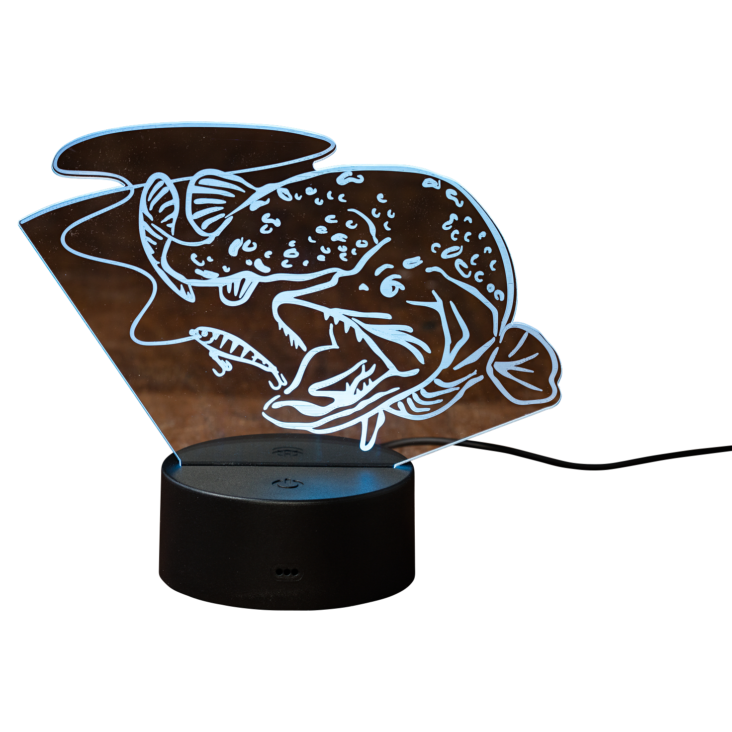 Bearstep LED Deko Hecht 