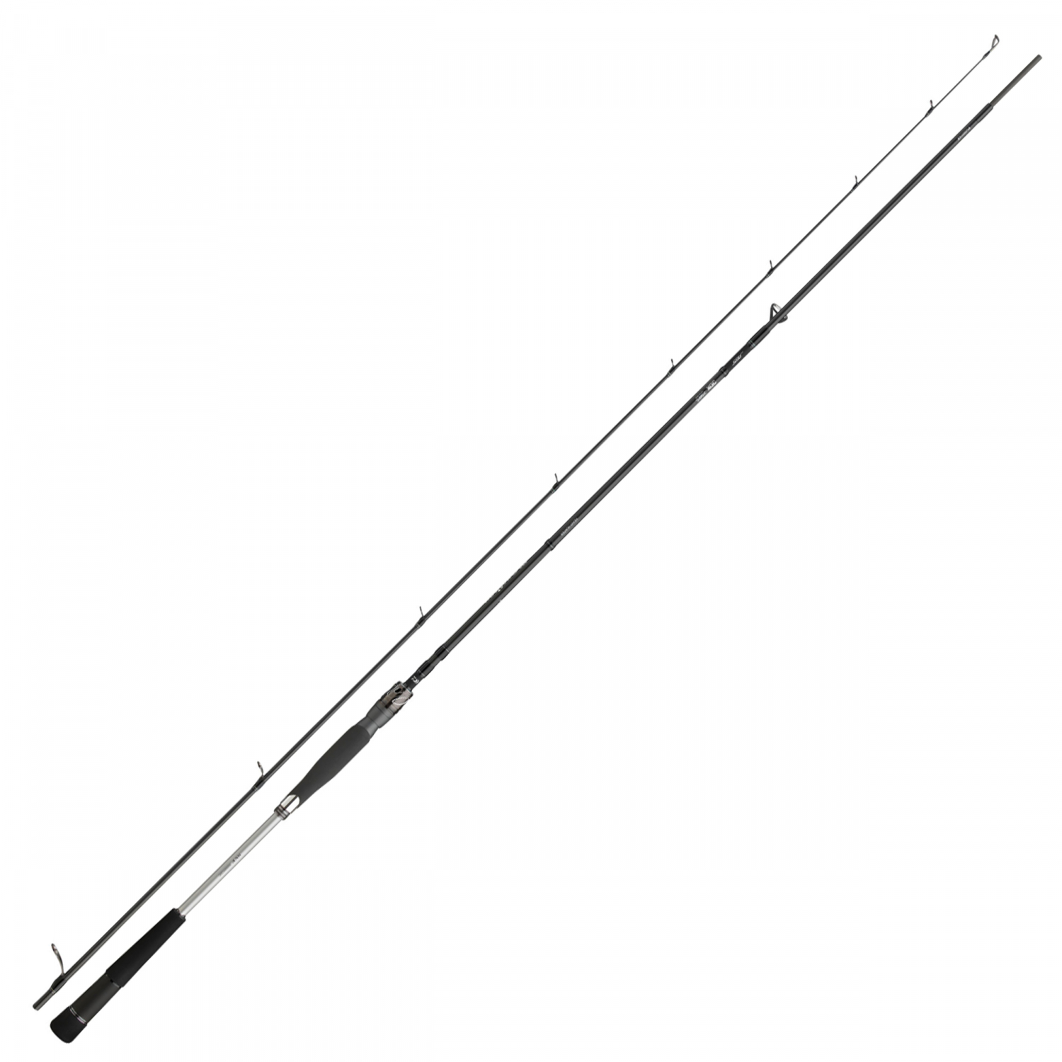 Daiwa Meerforellenrute Morethan AGS Seatrout 