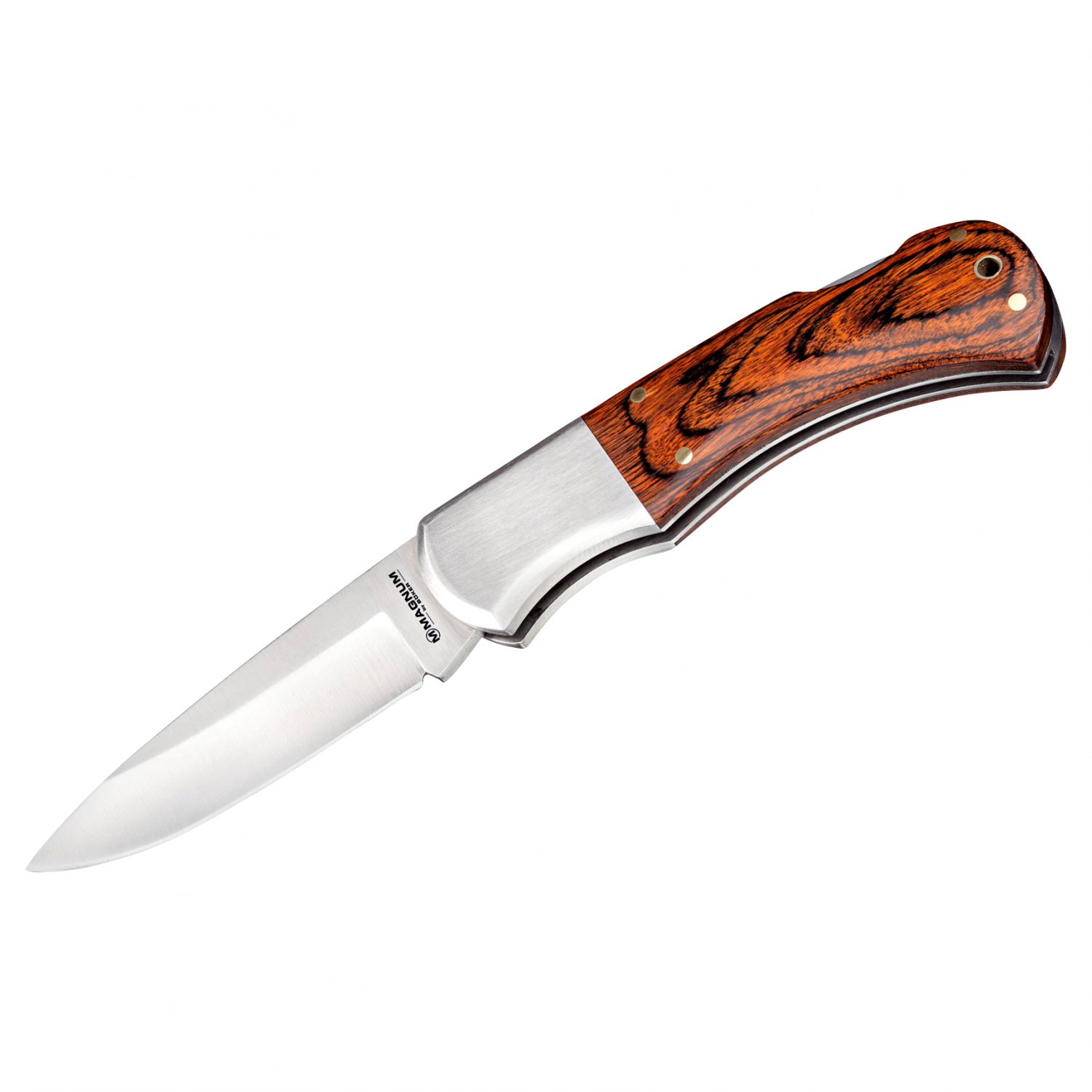 Magnum Handwerksmeister 1 