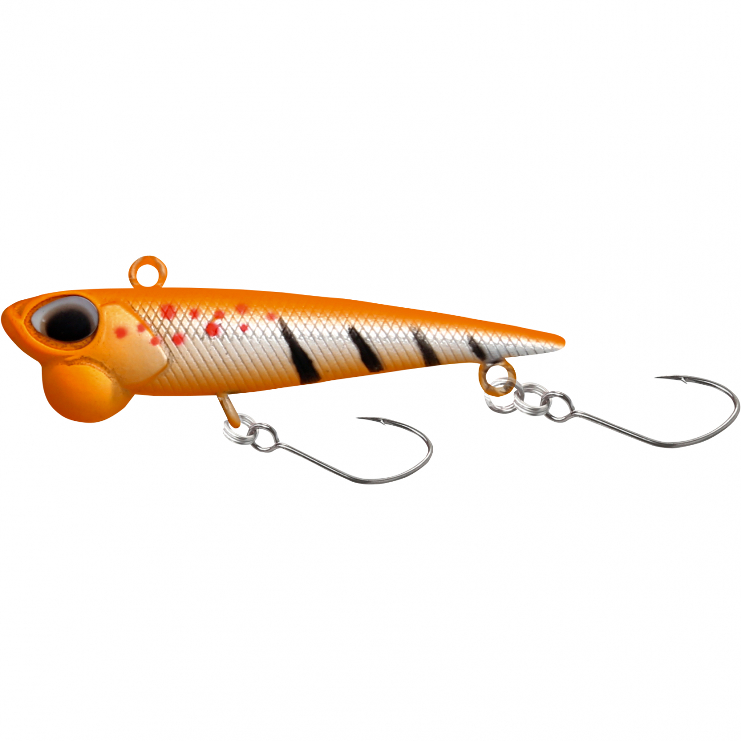 Paladin Odysseus (F) 