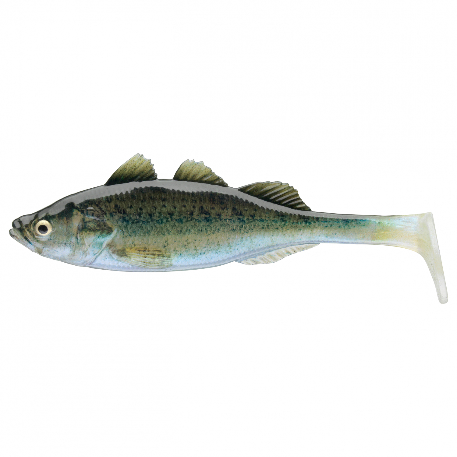 Prorex Live Perch (Baby Zander) 