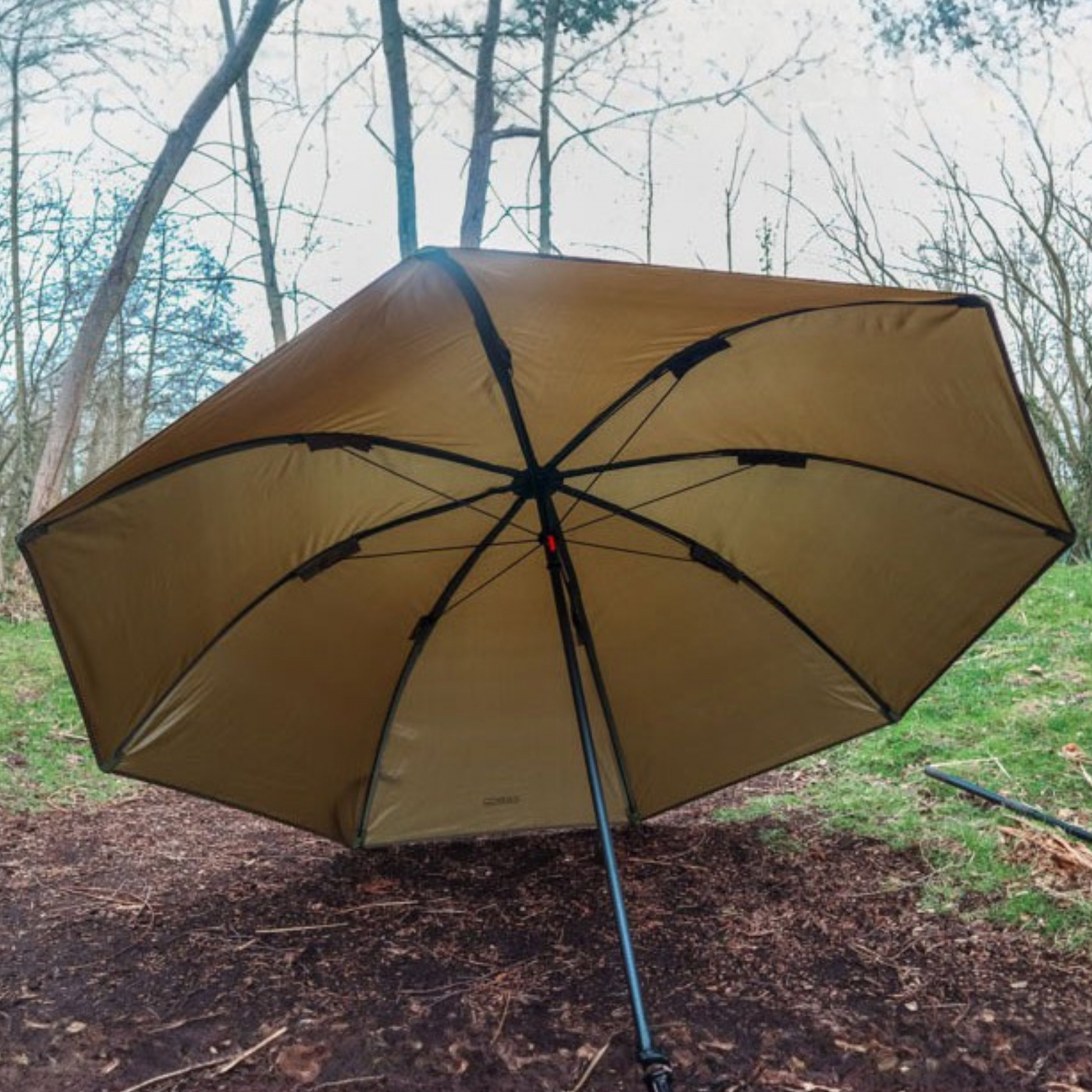 Zebco Brolly (olivgrün) 