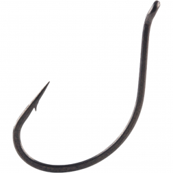  DSS-Worm