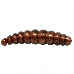  Larvy, Brown
