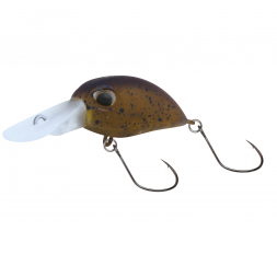  Big Bullet (schwimmend, A)
