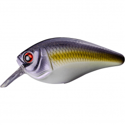  Body: SMTX-H Crankbait - TTN | Sexy Sandeel (Holo)
