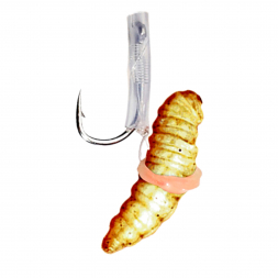  Angelhaken Bienenmaden Hair Rigs