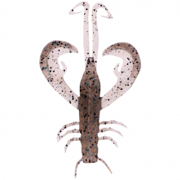  Edward (Ghost Shrimp)