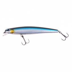  Murdock (Baitfish) schwimmend