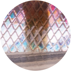  Zanderläufer (Clear Water)