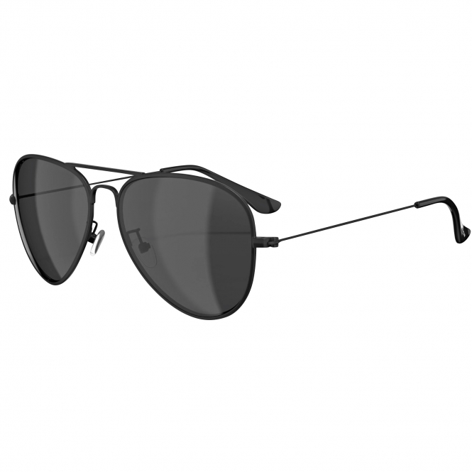 Leech ATW1 Polbrille (Black) 