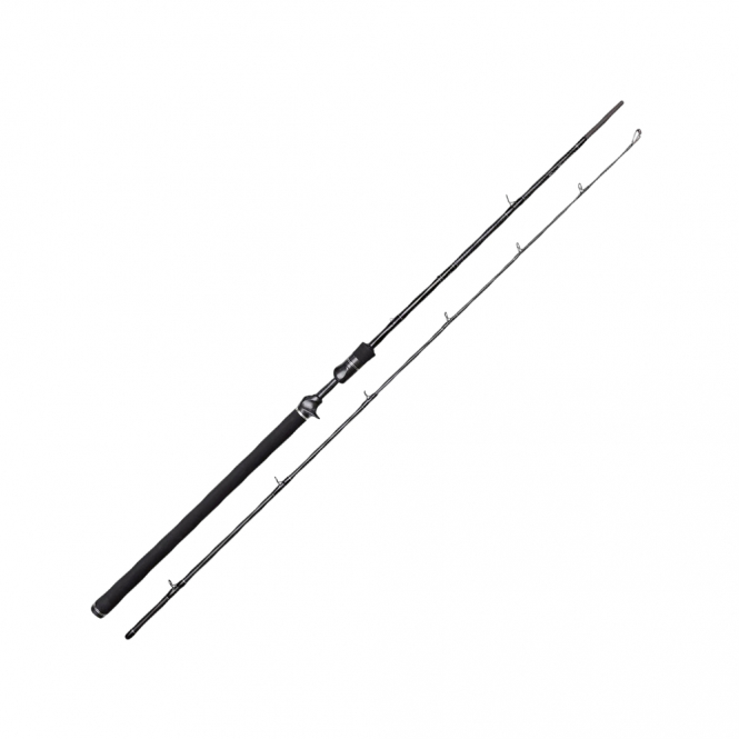 Westin W3 (Jerkbait-T 3rd) 