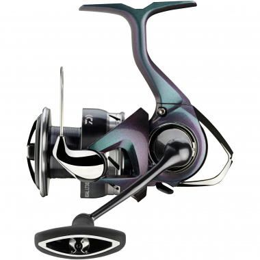 Daiwa 24 Regal LT