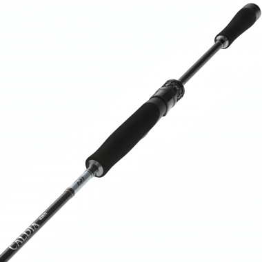 Daiwa Caldia Spin