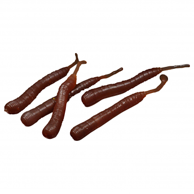 Eisele Soft Bait Wattwurm Doppelgänger