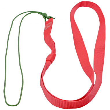 Eurohunt Wildbergehilfe Mufflon