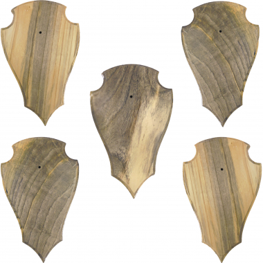 Gehörn / Geweihbrettchen, (Größe S, 5er Set)