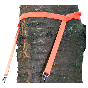 Napier Apex Tree Hugger