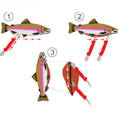 Salmo Saubermacher Messer