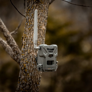 Spypoint Wildkamera Flex-M (Twin Pac)