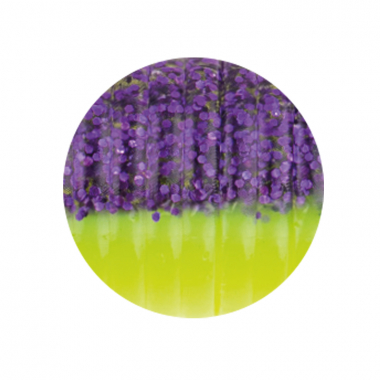Zeck Drag-Tail (Purple Chatreuse)