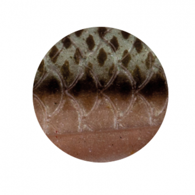 Zeck Zander Pelagi Set (Gürkchen)