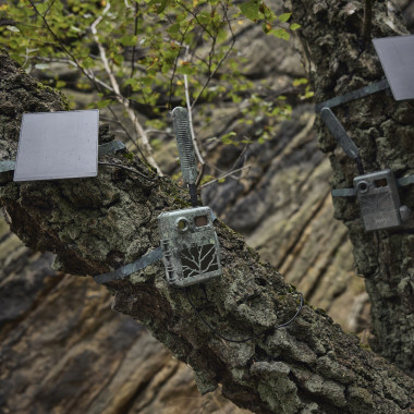 Zeiss Wildkamera Secacam 3 (4er Pack)